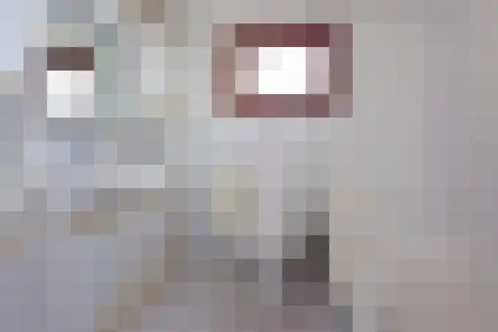 Molenpad 7 Nieuwkoop thumbnail 14