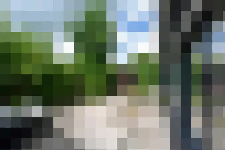 Molenpad 7 Nieuwkoop thumbnail 21