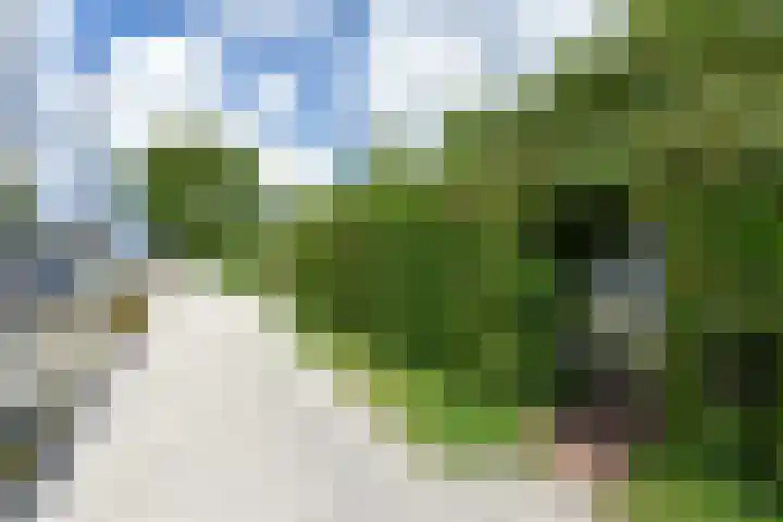 Molenpad 7 Nieuwkoop thumbnail 22