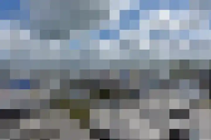 Molenpad 7 Nieuwkoop thumbnail 25