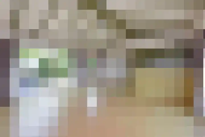 Molenpad 7 Nieuwkoop thumbnail 8