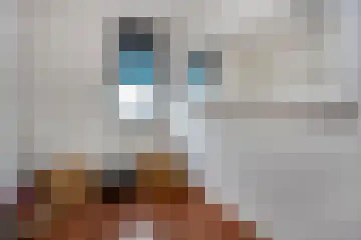 Molenpolder 6 De Meern thumbnail 24