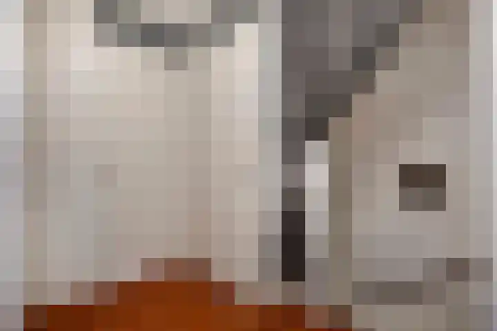 Molenpolder 6 De Meern thumbnail 34