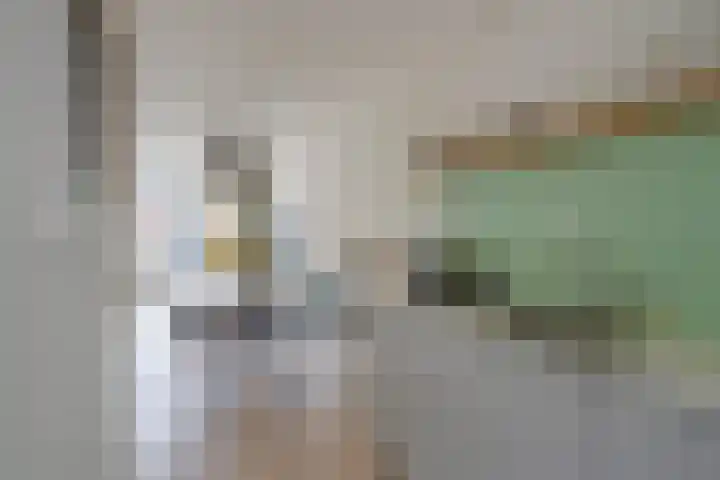 Molenrakhof 10 Utrecht thumbnail 15