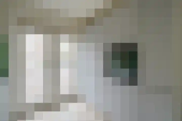 Molenrakhof 10 Utrecht thumbnail 16