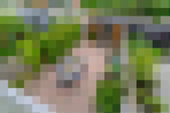 Molenrakhof 10 Utrecht thumbnail 35