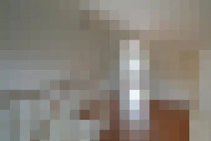 Molenrakhof 10 Utrecht thumbnail 38