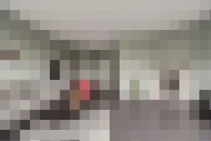 Molenring 37 Waddinxveen thumbnail 13
