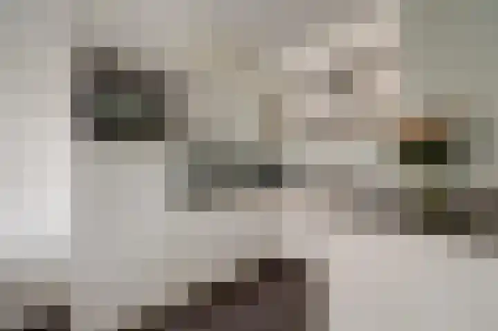Molenring 37 Waddinxveen thumbnail 16