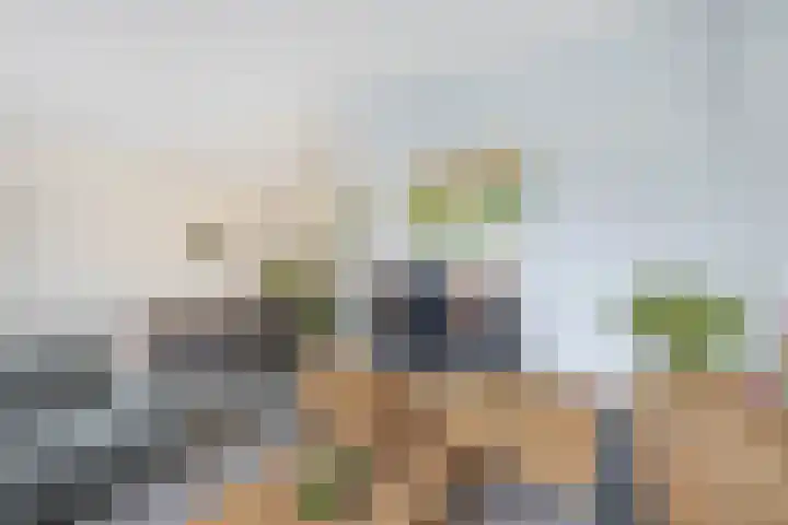 Molenring 47 Waddinxveen thumbnail 11