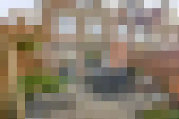 Molenring 47 Waddinxveen thumbnail 17