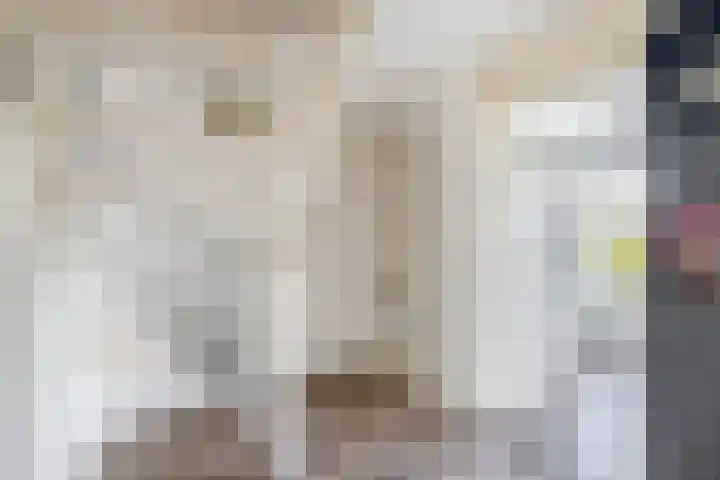 Molenring 47 Waddinxveen thumbnail 19