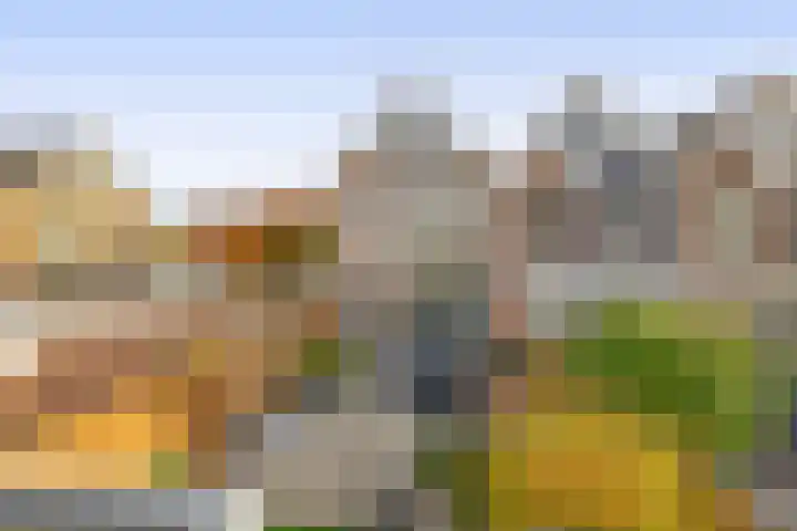 Molenring 47 Waddinxveen thumbnail 4