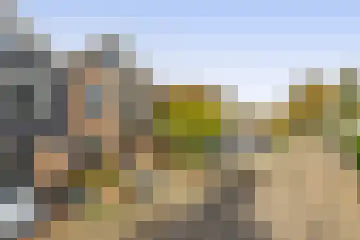 Molenring 47 Waddinxveen thumbnail 6