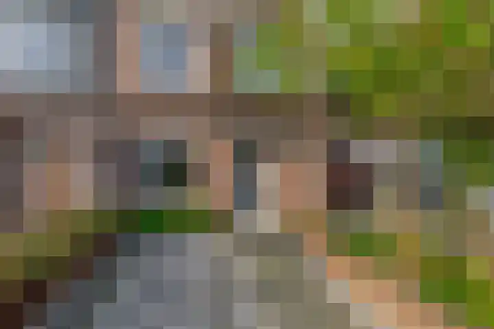 Molenring 47 Waddinxveen thumbnail 7