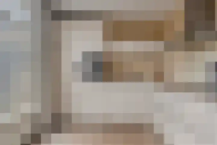 Molensingel 19 Wouw thumbnail 13