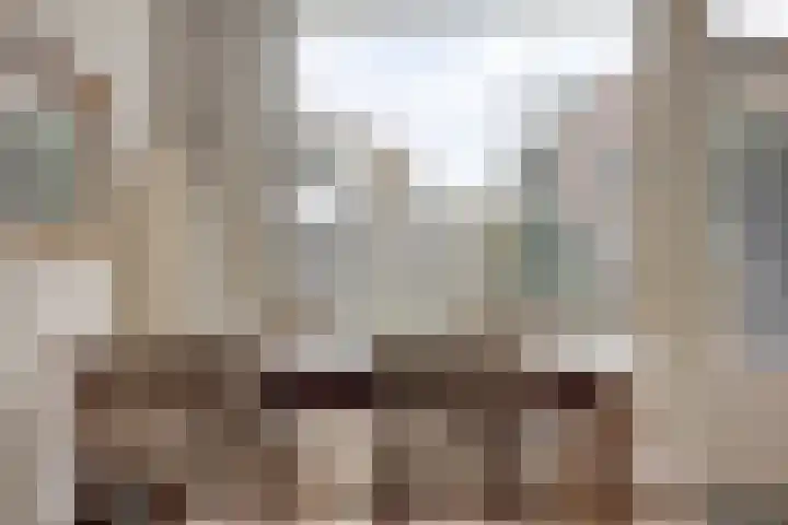Molensingel 19 Wouw thumbnail 14