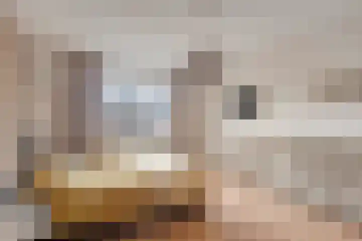 Molensingel 19 Wouw thumbnail 18
