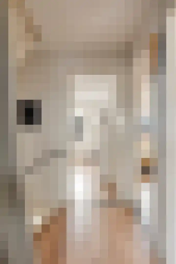 Molensingel 19 Wouw thumbnail 27