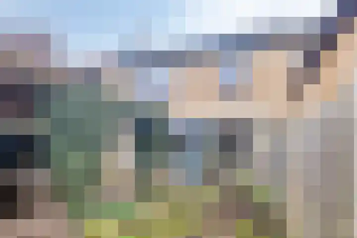 Molensingel 19 Wouw thumbnail 34