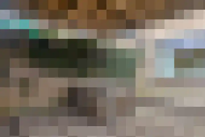 Molensingel 19 Wouw thumbnail 36
