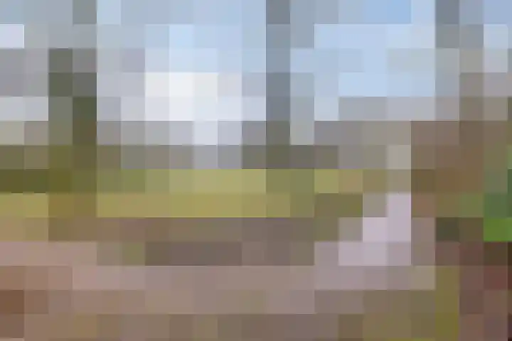 Molensingel 19 Wouw thumbnail 44