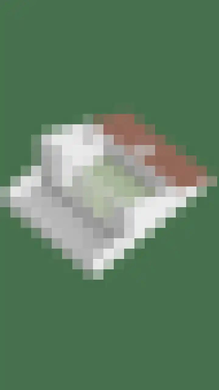 Molensingel 19 Wouw thumbnail 51
