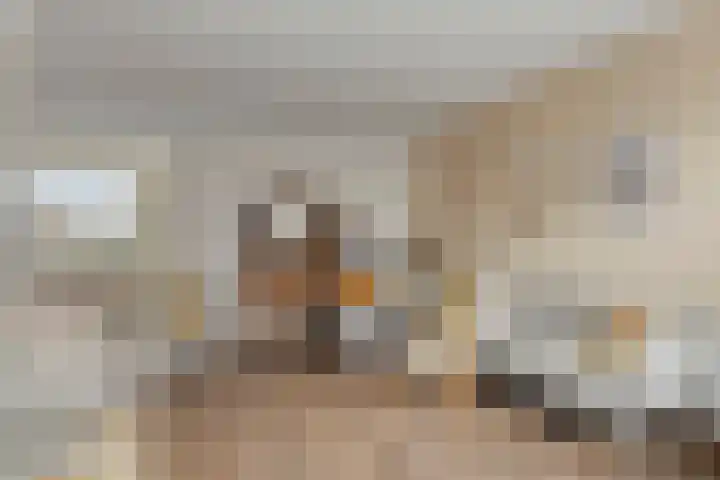 Molensingel 19 Wouw thumbnail 7