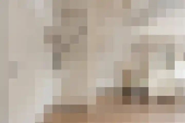 Molensingel 19 Wouw thumbnail 9
