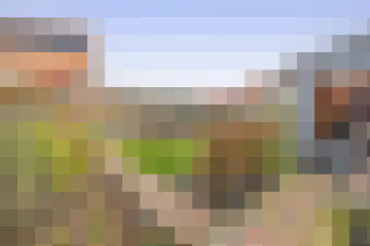 Molensingel 25 Wieringerwaard thumbnail 13