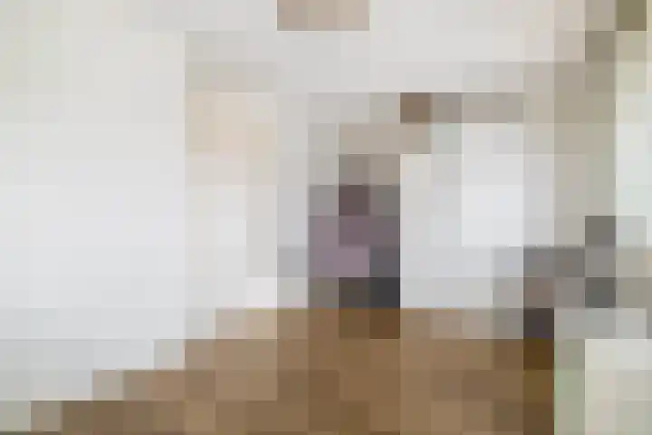 Molensingel 25 Wieringerwaard thumbnail 17