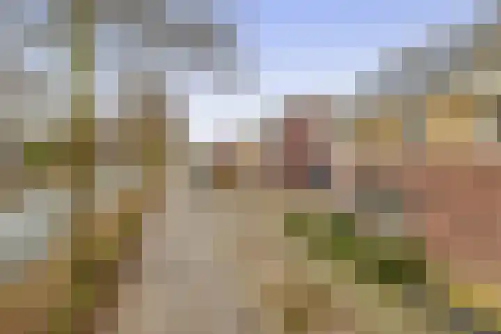 Molensingel 25 Wieringerwaard thumbnail 28