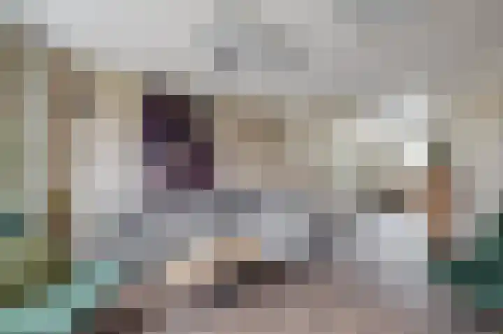 Molensingel 25 Wieringerwaard thumbnail 7