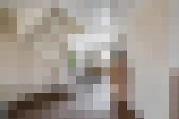 Molensingel 25 Wieringerwaard thumbnail 8