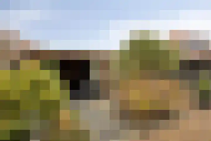 Molensingel 27 Wieringerwaard thumbnail 30