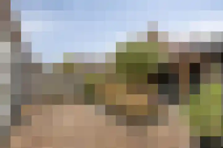 Molensingel 27 Wieringerwaard thumbnail 31