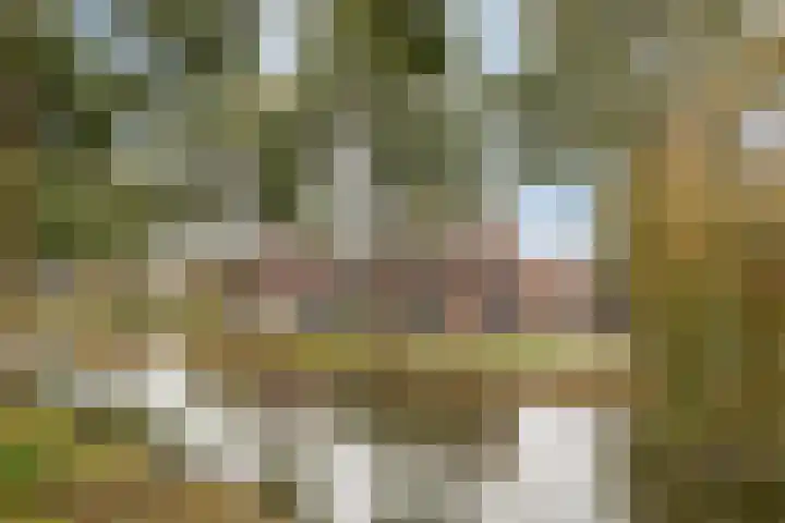 Molensingel 27 Wieringerwaard thumbnail 41
