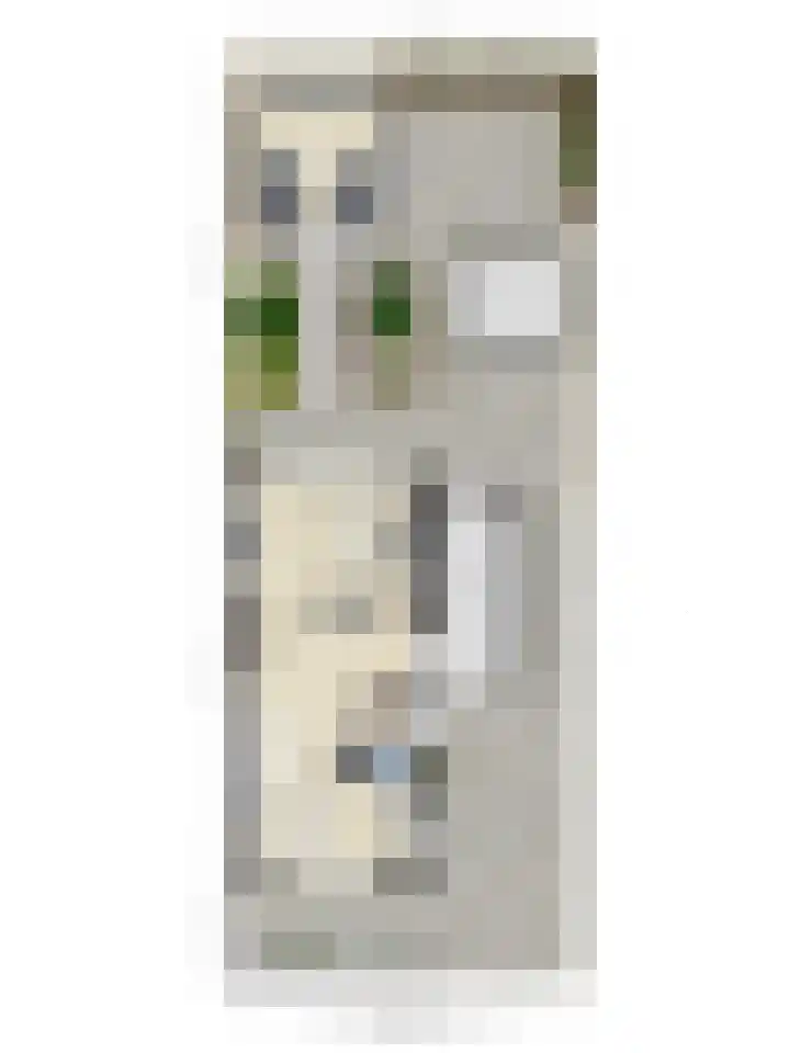 Molensingel 27 Wieringerwaard thumbnail 43