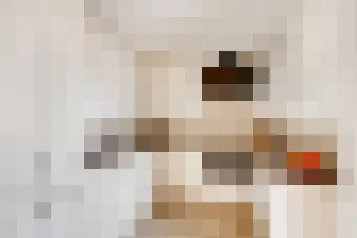 Molensingel 42 Bovenkarspel thumbnail 10
