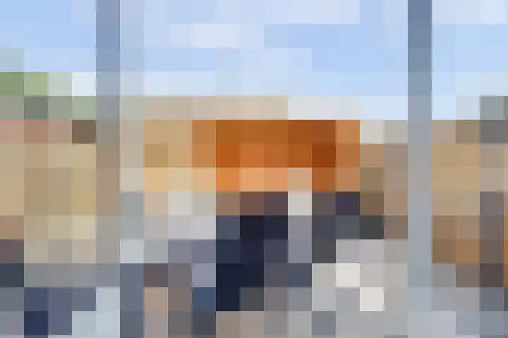 Molensingel 42 Bovenkarspel thumbnail 13