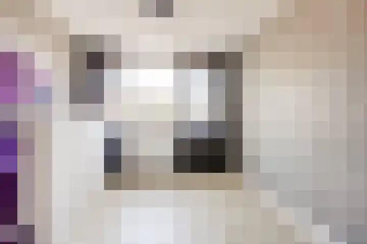 Molensingel 42 Bovenkarspel thumbnail 24