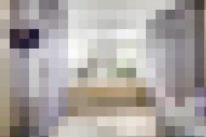 Molensingel 42 Bovenkarspel thumbnail 8