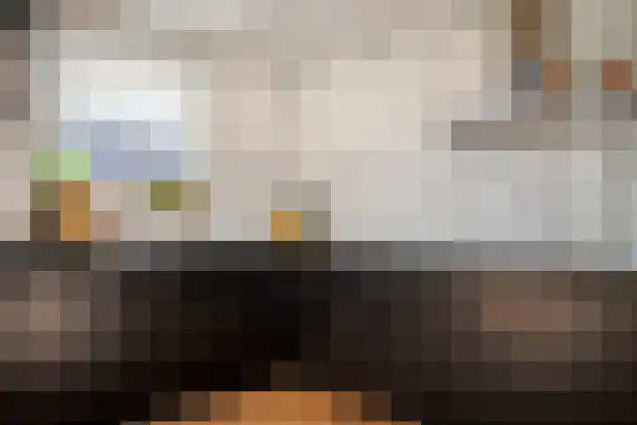 Molensingel 6 Wieringerwaard thumbnail 16