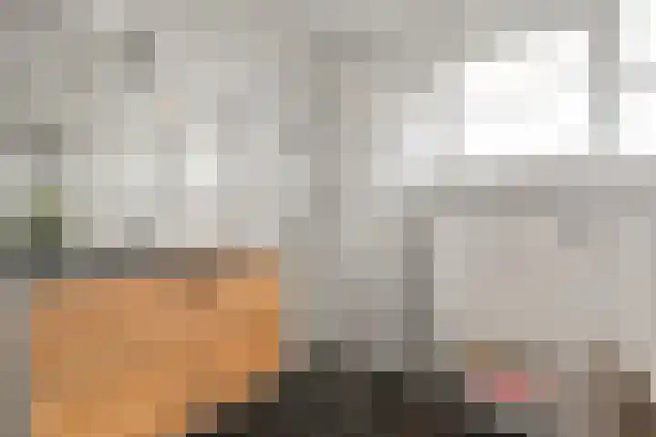 Molensingel 6 Wieringerwaard thumbnail 24