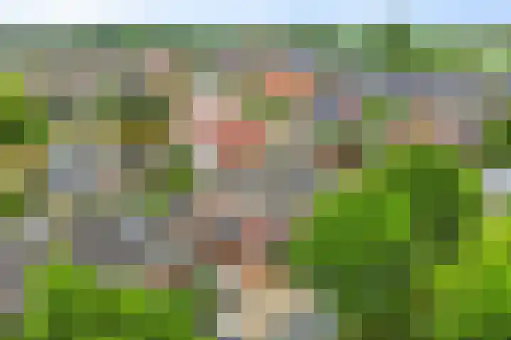 Molensingel 6 Wieringerwaard thumbnail 4