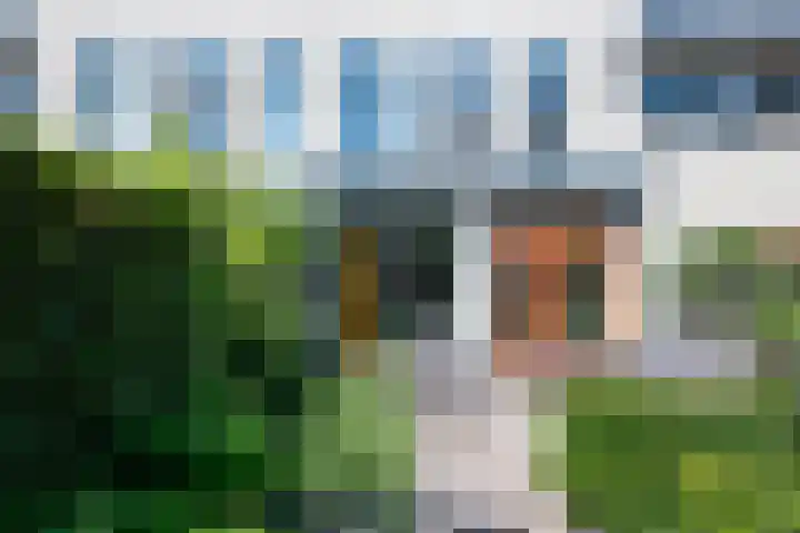 Molensingel 83 Delft thumbnail 16