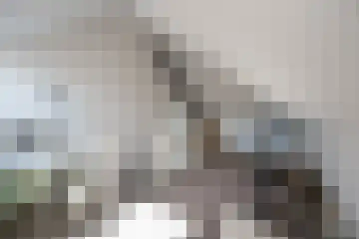 Molensingel 83 Delft thumbnail 67