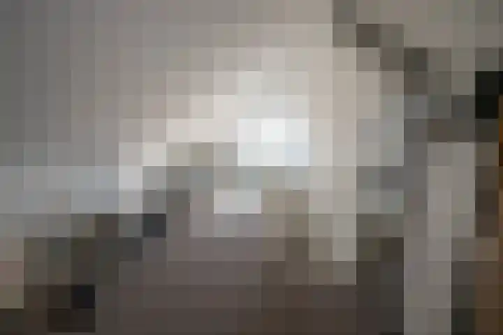 Molensingel 83 Delft thumbnail 68