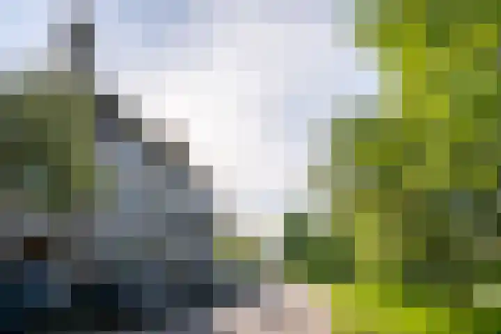 Molensingel 83 Delft thumbnail 69