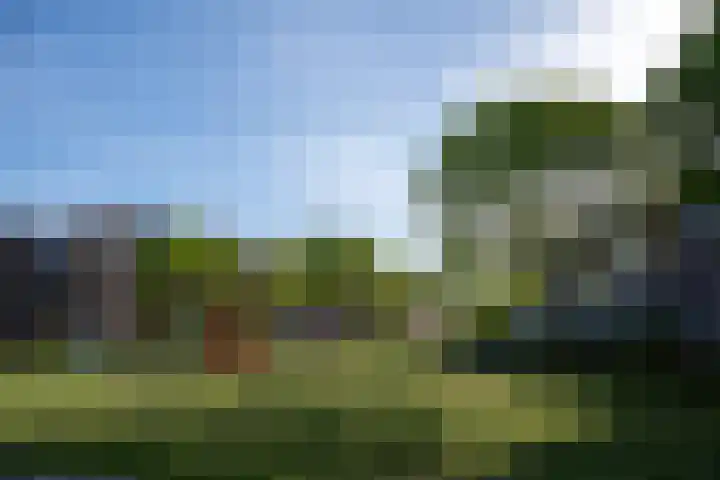 Molensingel 83 Delft thumbnail 70